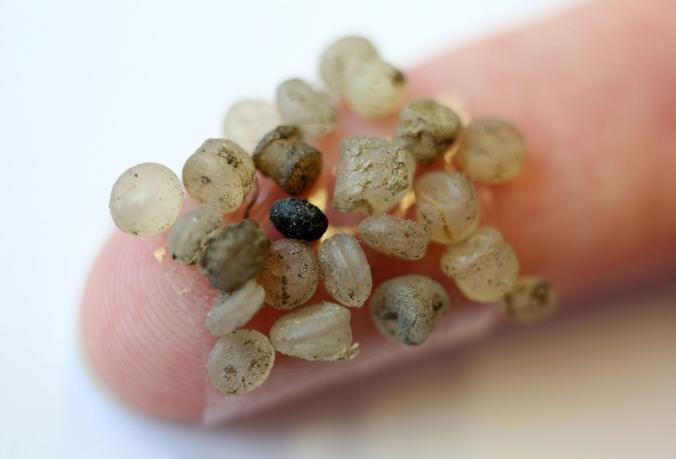 Water Supply and Microplastics are so pervasive they're not only found in seafood and land mammals, they're now being found in human poop. Water Supply and Microplastics are so pervasive they're not only found in seafood and land mammals, they're now being found in human poop.