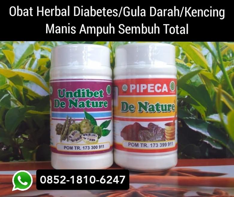 Berikut Obat Diabetes Di Brebes Ampuh Herbal Gula Darah Kencing Manis Mengurangi Kolesterol Beli Di Kabupaten Brebes Apotik Terdekat Obat Diabetes Ampuh Obat Cepat Sembuh Obat Sembuh Total