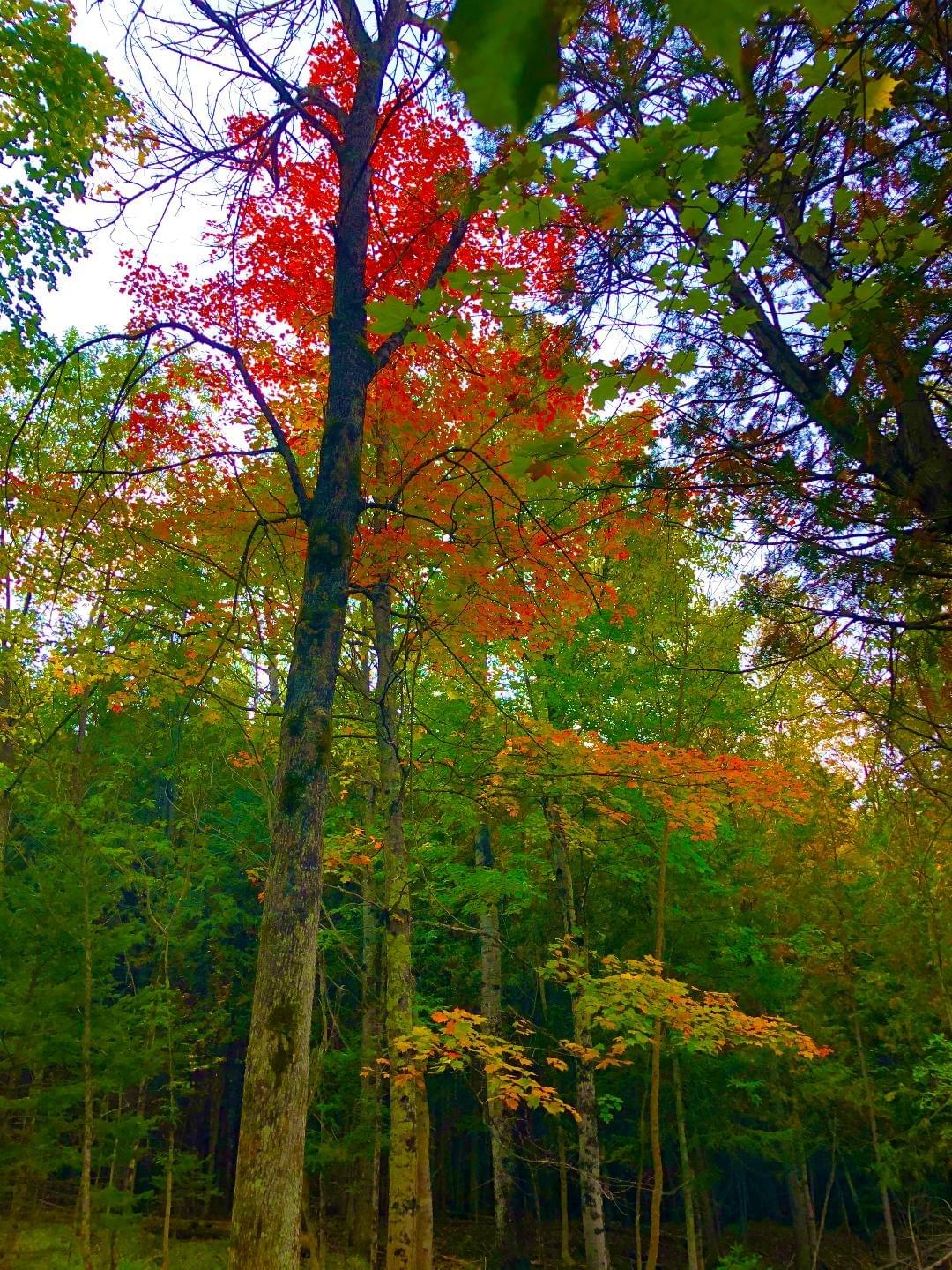 upper peninsula scenery upper peninsula scenery