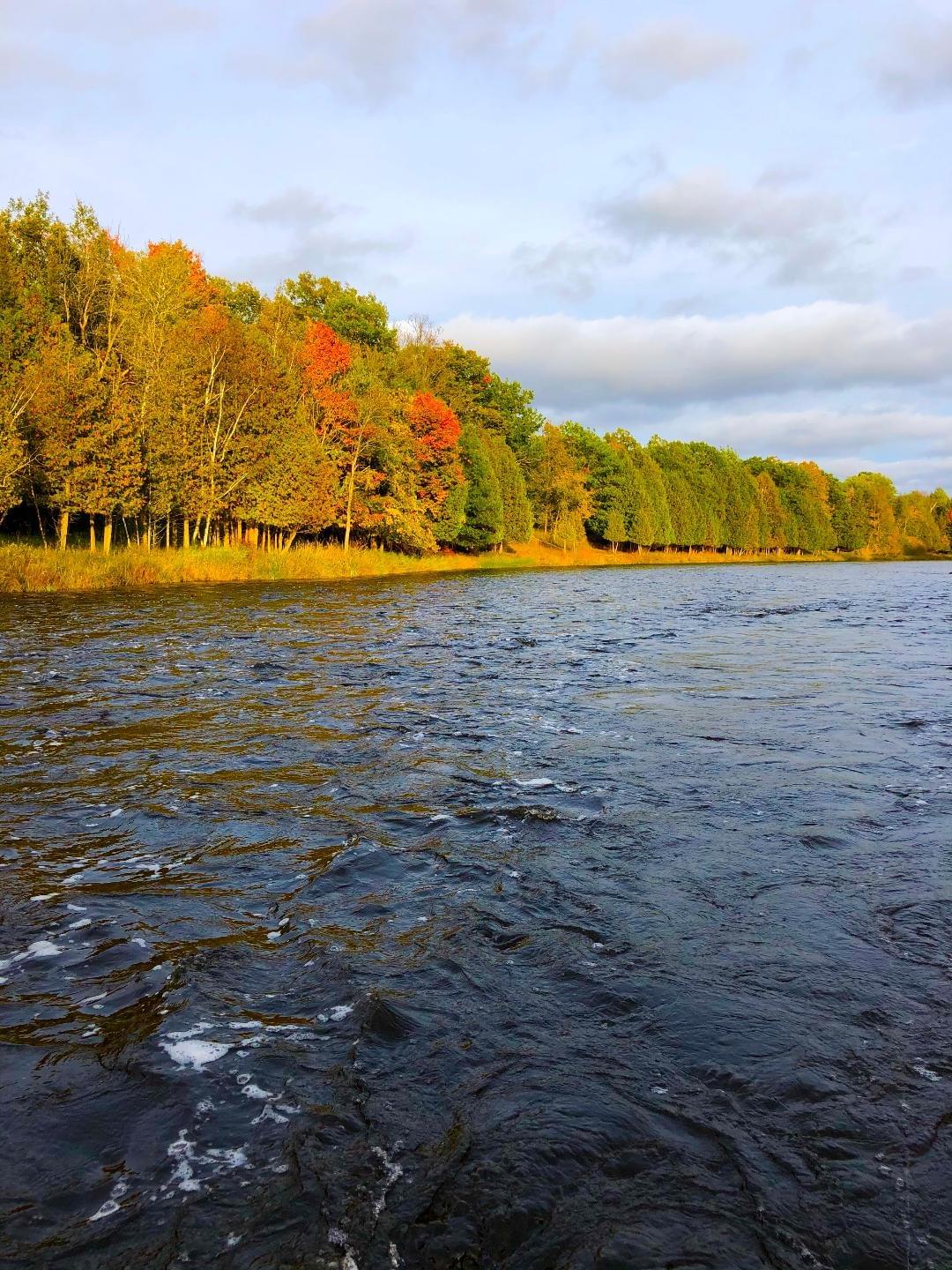 upper peninsula trout stream in the fall upper peninsula trout stream in the fall