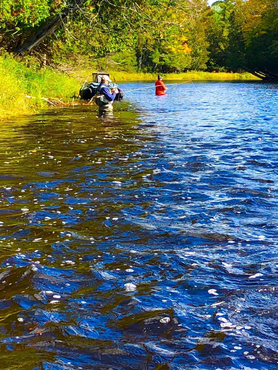 upper peninsula steelhead fishing upper peninsula steelhead fishing