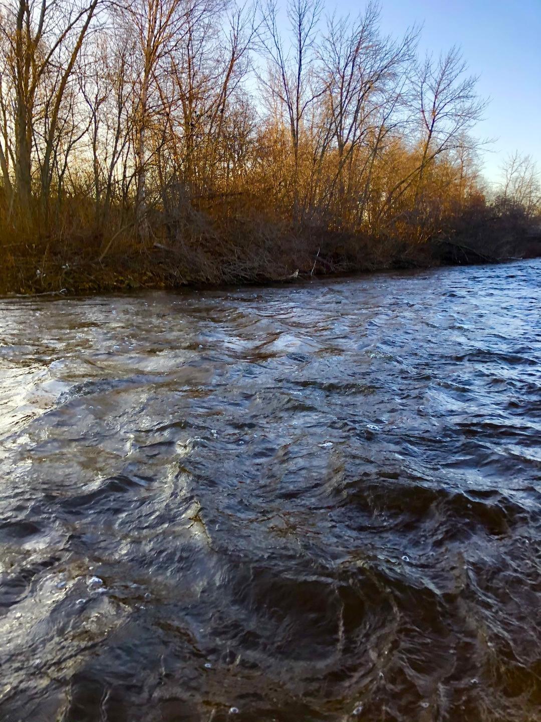 upper peninsula steelhead rivers upper peninsula steelhead rivers