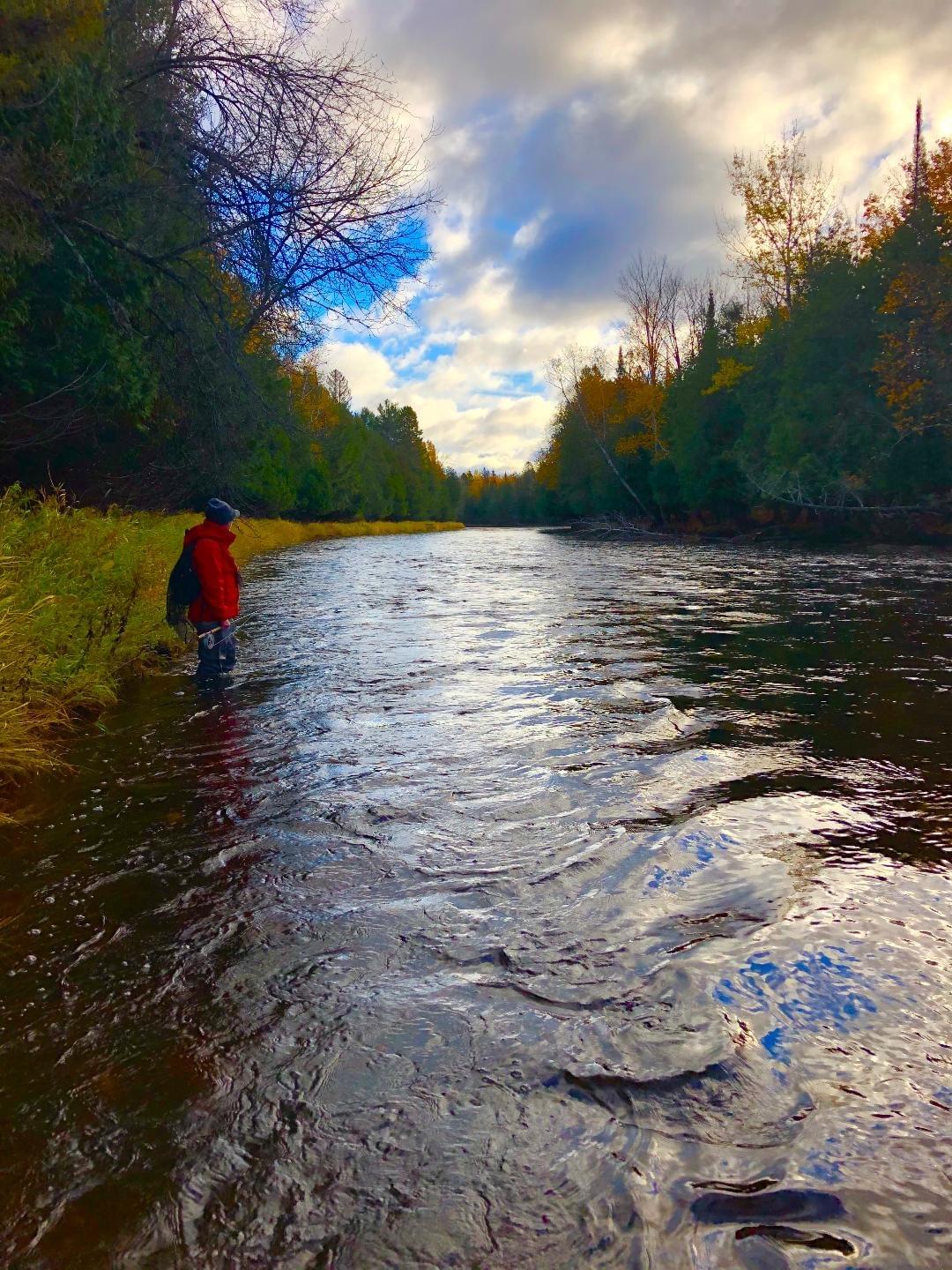 upper peninsula steelhead river upper peninsula steelhead river