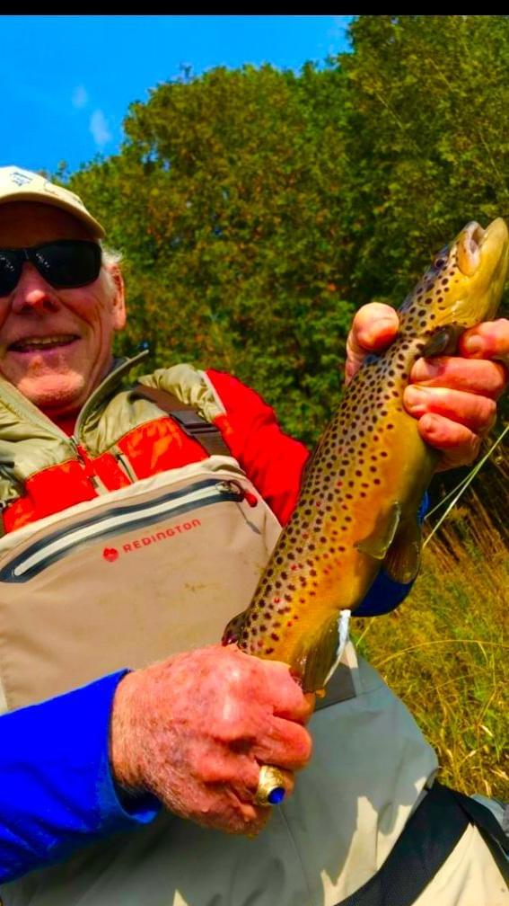 upper peninsula brown trout upper peninsula brown trout