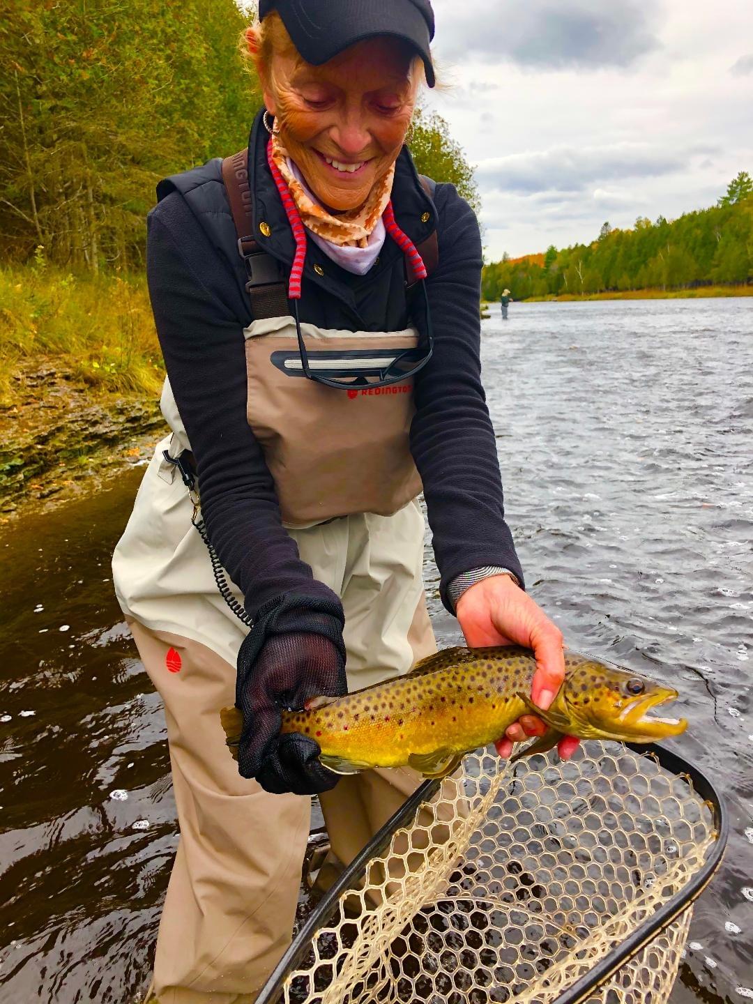 upper peninsula brown trout upper peninsula brown trout