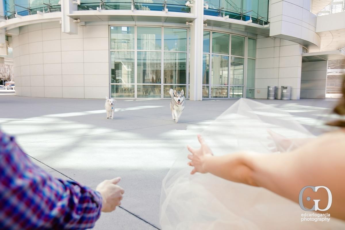 San Jose Engagement Photographer - San Jose City Hall - Sharon and Doug San Jose Engagement Photographer - San Jose City Hall - Sharon and Doug