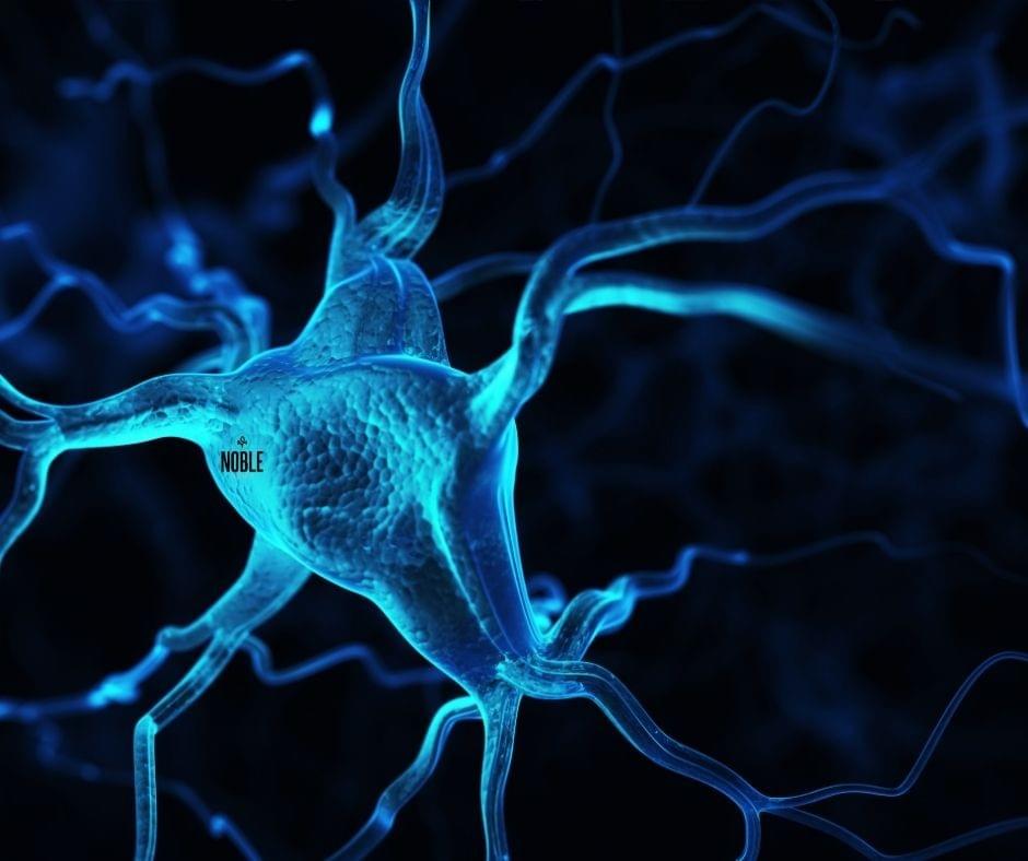 cbd cream for neuropathy cbd cream for neuropathy