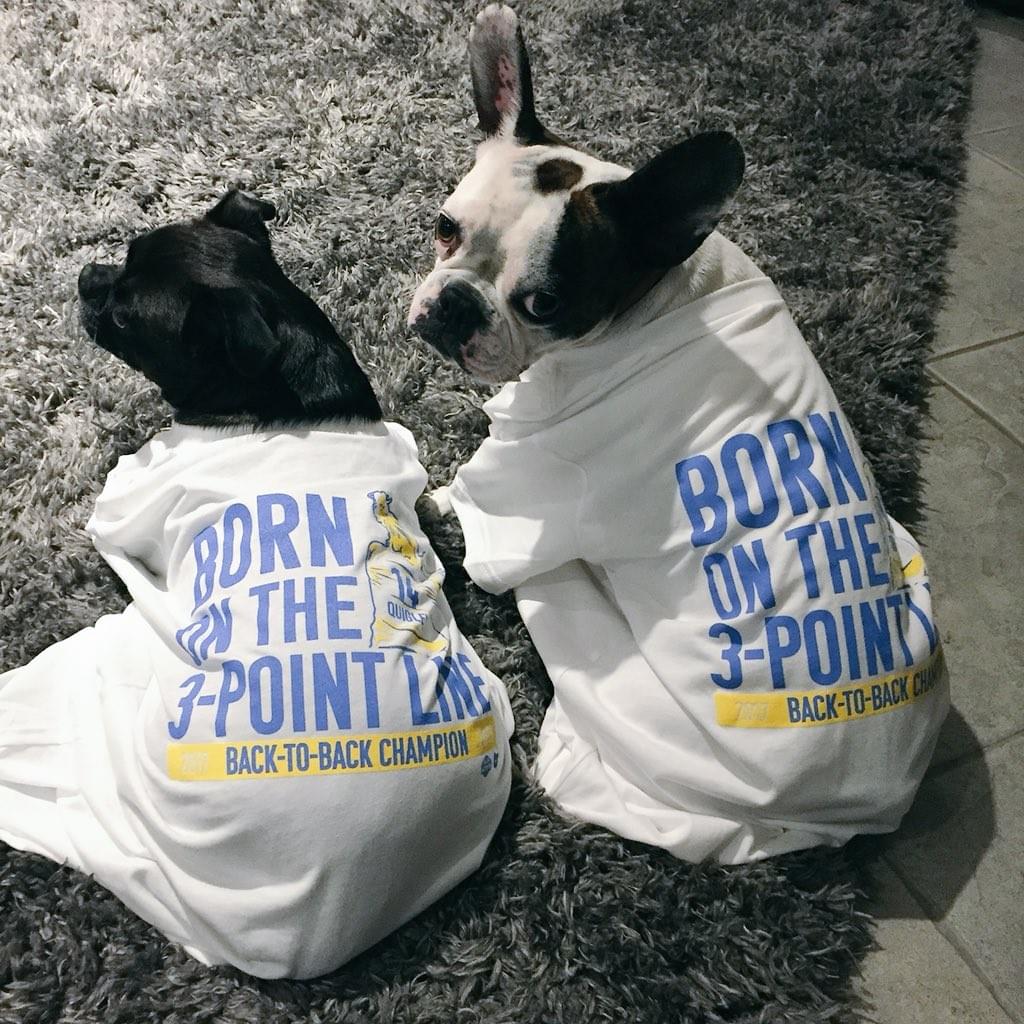 Two small dogs wear T-shirts that say "Born on the 3-Point Line" Two small dogs wear T-shirts that say "Born on the 3-Point Line"