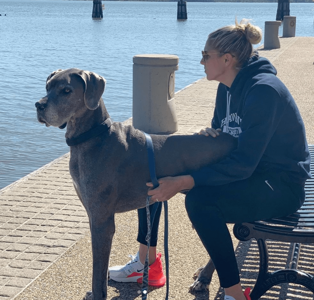 Large great dane sits on Elena Large great dane sits on Elena