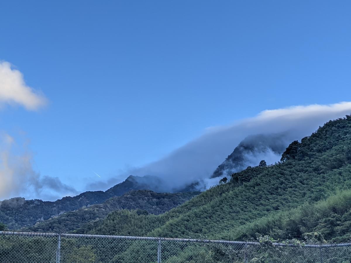 ~我是山林的涼被~ ~我是山林的涼被~