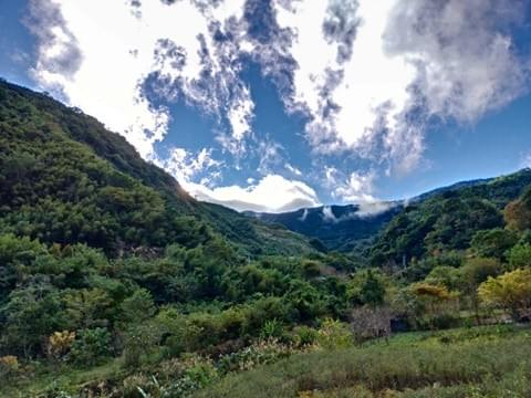 尖石山林與雲海的夢幻交織 尖石山林與雲海的夢幻交織