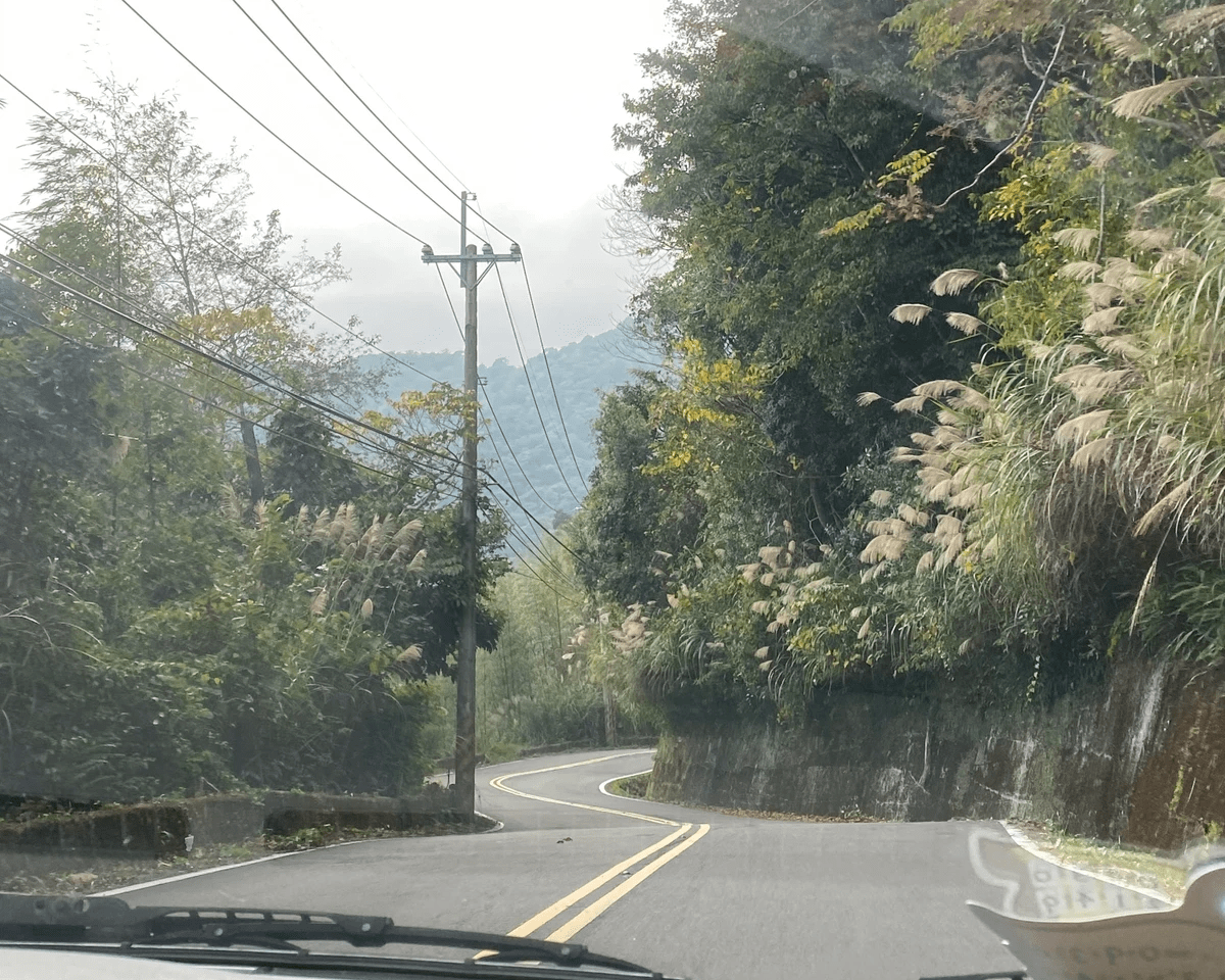 車上視角。出發時台北下大雨,新竹卻大晴天。在通往田埔的曲折山路上,彷彿一轉彎就會遇到美好事物。 車上視角。出發時台北下大雨,新竹卻大晴天。在通往田埔的曲折山路上,彷彿一轉彎就會遇到美好事物。