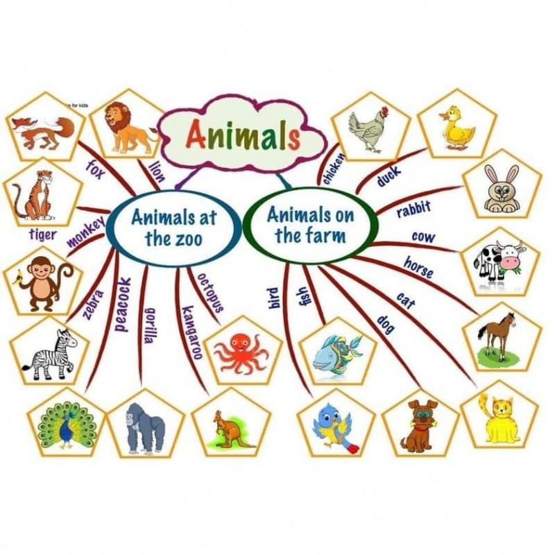 Anh ngữ i.Master - i.Master English Center Anh ngữ i.Master - i.Master English Center