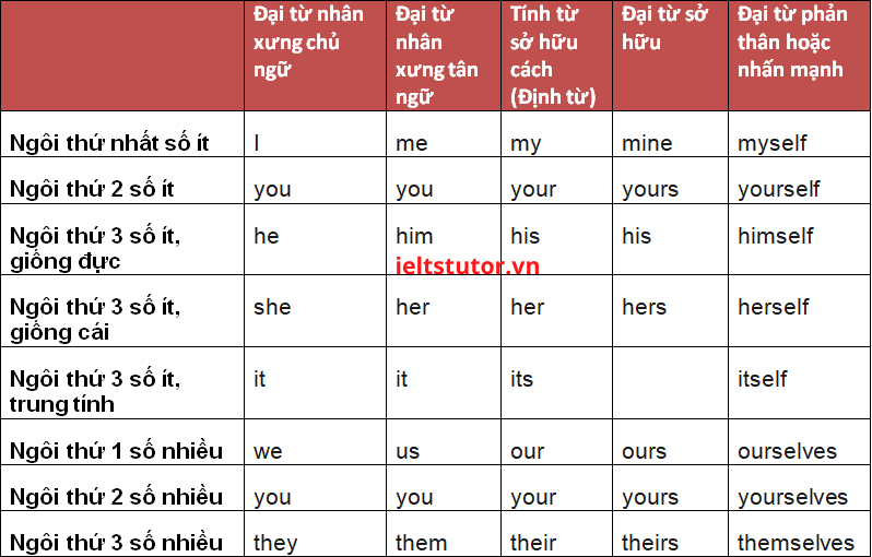 Đại từ thay thế cho danh từ Đại từ thay thế cho danh từ