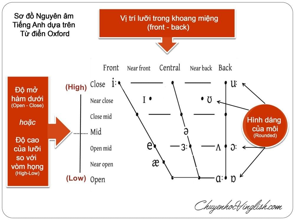 Cùng IELTS TUTOR tham khảo thêm Sơ đồ nguyên âm Tiếng Anh bạn nhé! Cùng IELTS TUTOR tham khảo thêm Sơ đồ nguyên âm Tiếng Anh bạn nhé!