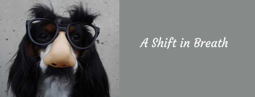 A shift in breath. A dog wearing glasses with a big nose. A shift in breath. A dog wearing glasses with a big nose.