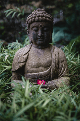 Buddha meditating in the grass. Buddha meditating in the grass.