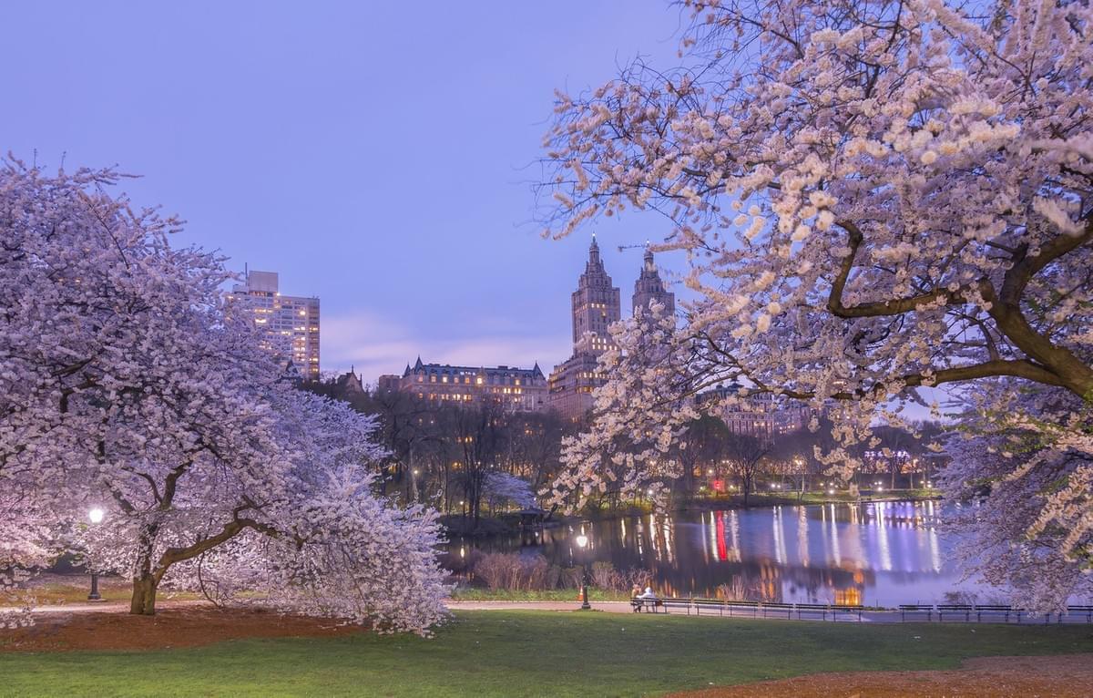 Cherry Hill central park Cherry Hill central park