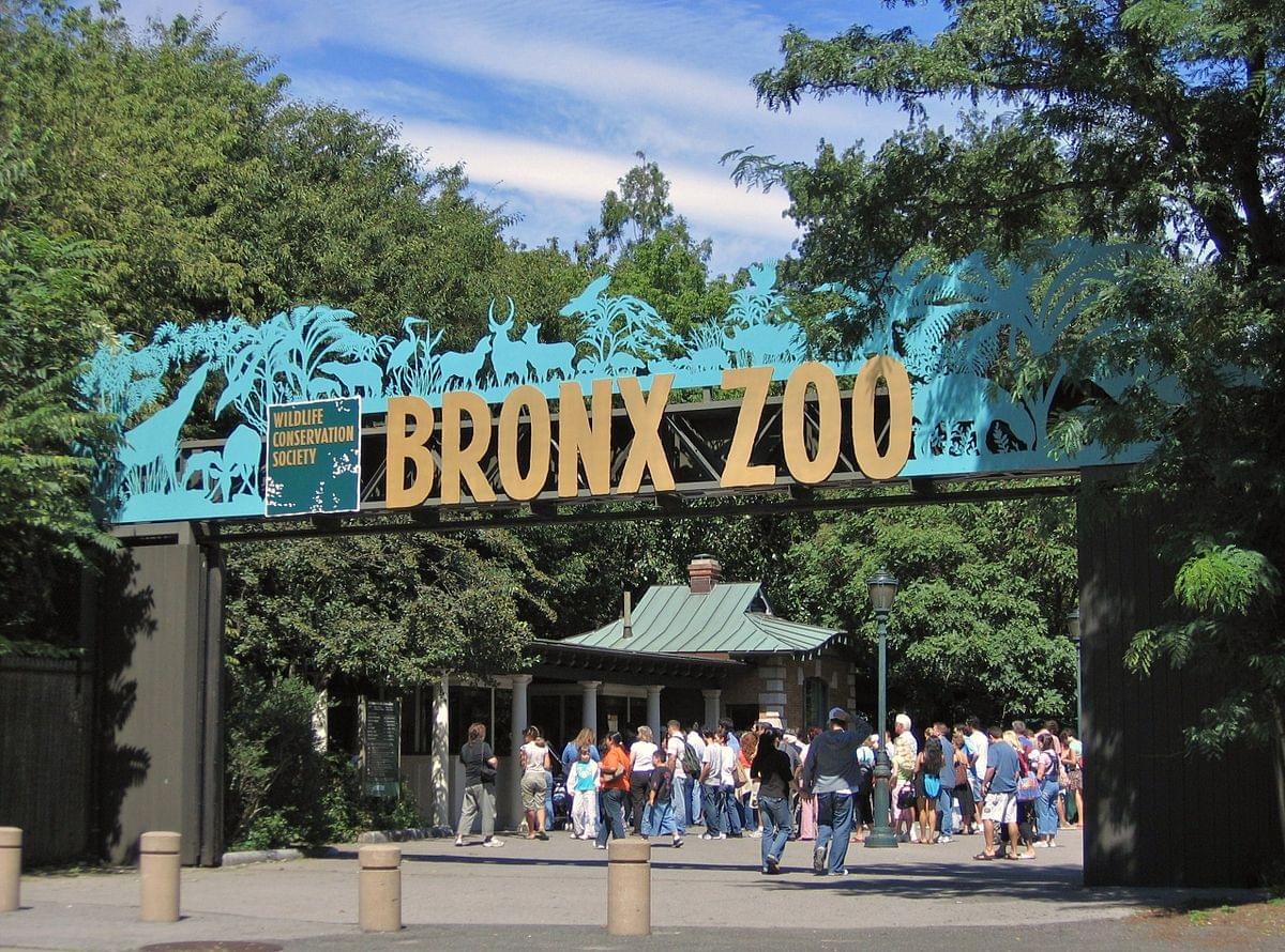 布朗克斯动物园 / Bronx Zoo / 紐約旅拍 / New York Photographer 布朗克斯动物园 / Bronx Zoo / 紐約旅拍 / New York Photographer