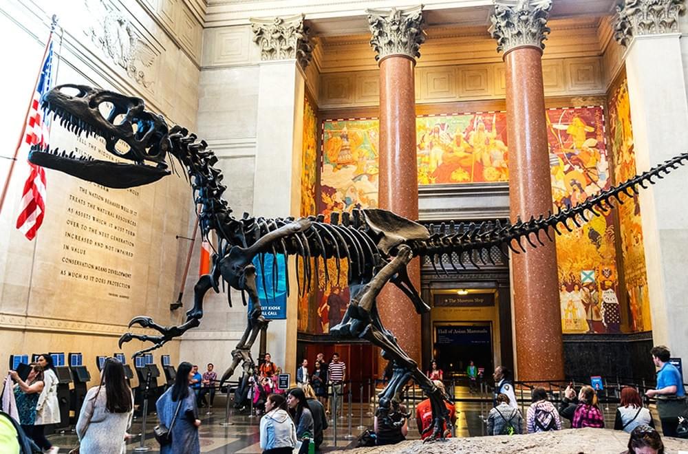 紐約自然歷史博物館 / 紐約攝影師 / American Museum of Natural History / New York Photographer 紐約自然歷史博物館 / 紐約攝影師 / American Museum of Natural History / New York Photographer