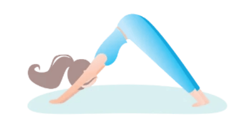 adho mukha svanasana adho mukha svanasana