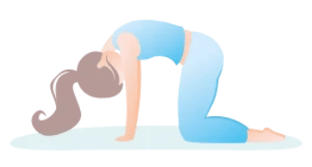 marjariasana marjariasana