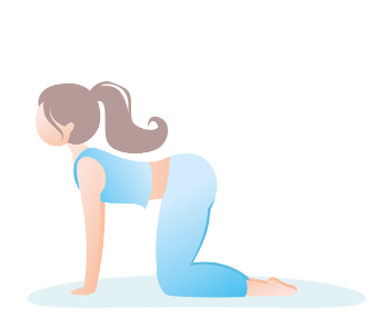 marjariasana marjariasana