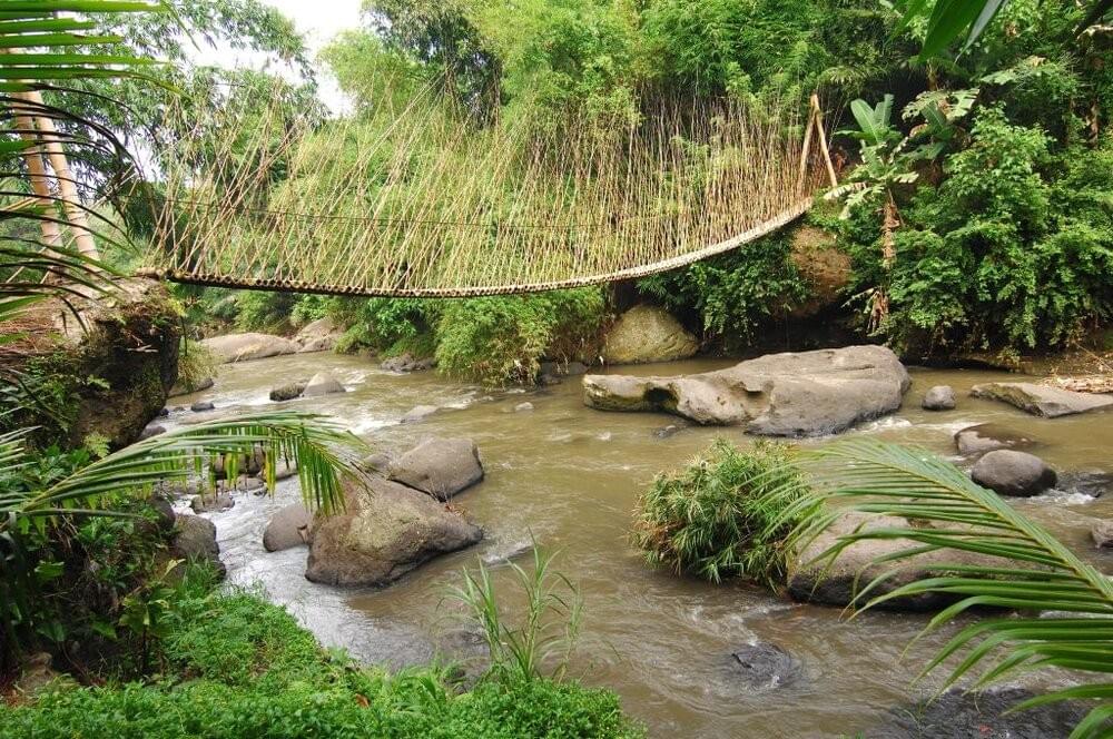Bamboo Bridge over the Ayung River Bamboo Bridge over the Ayung River