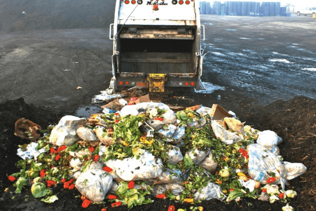 In New Zealand alone, we throw out 122,547 tonnes of fully edible food per year In New Zealand alone, we throw out 122,547 tonnes of fully edible food per year