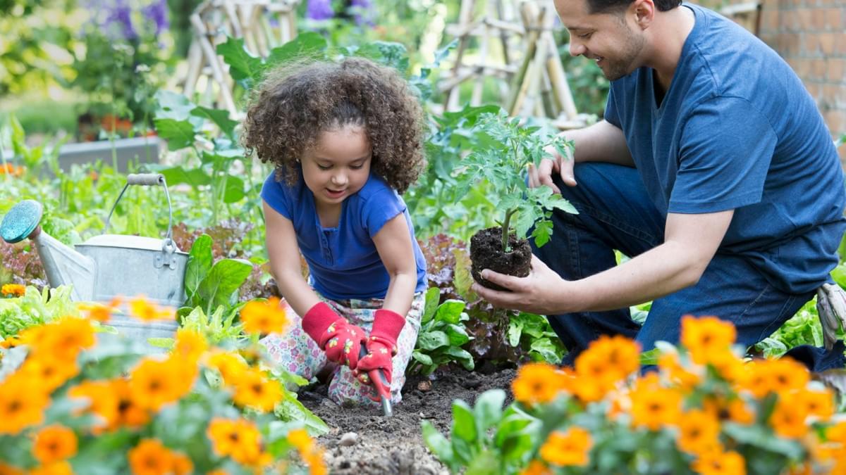 Father and daughter gardening together Father and daughter gardening together