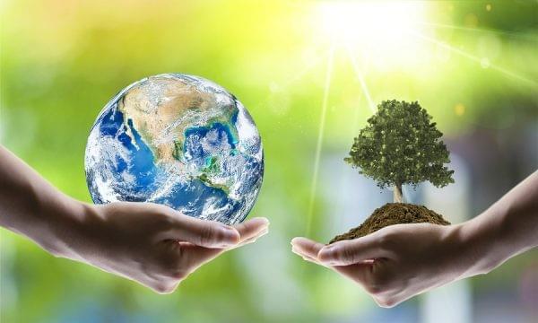 Effects of global warming on the planet Effects of global warming on the planet
