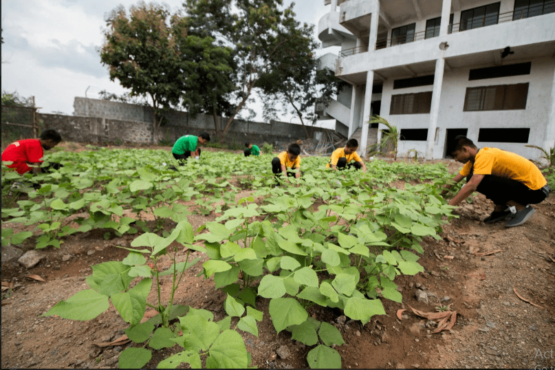 Students gardening at Shivneri Boarding School Students gardening at Shivneri Boarding School