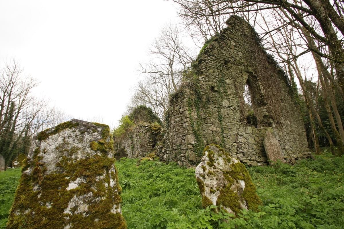 Image courtesy of Midleton with 1 'd' Image courtesy of Midleton with 1 'd'