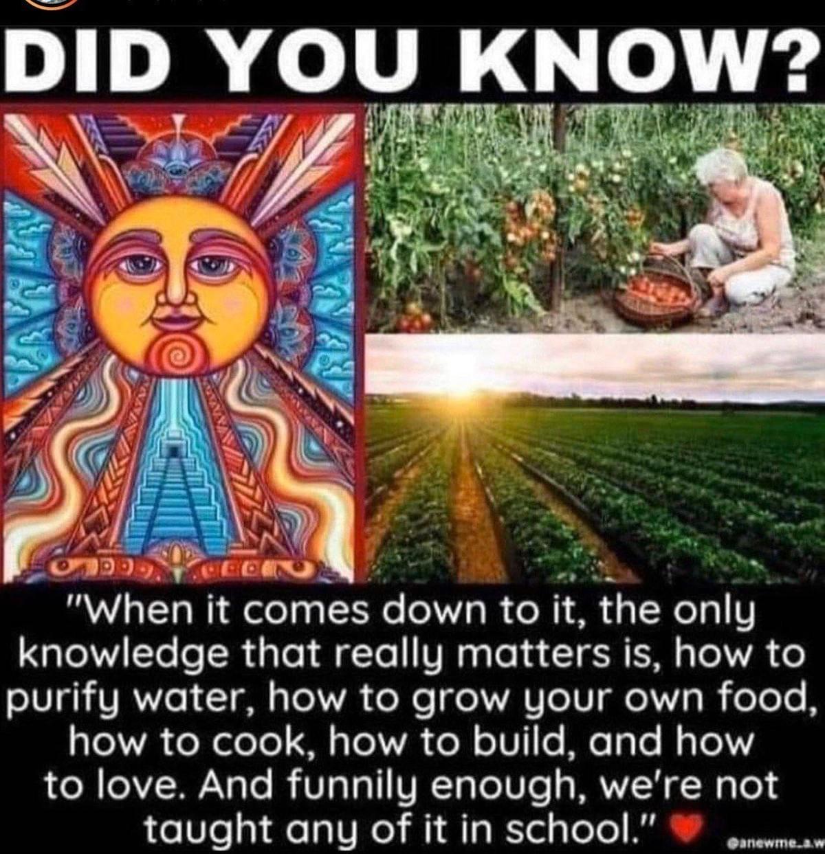get-back-into-nature-rise-up-in-truth-why-this-pandemic-is-not-real get-back-into-nature-rise-up-in-truth-why-this-pandemic-is-not-real