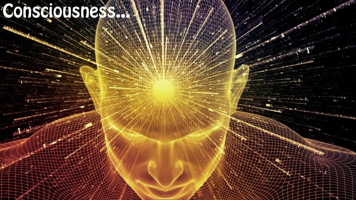 natalie-viglione-disruption-disrupt-now-consciousness-transformation-life-transformation-life-coach-life-guide-teacher-team-gu natalie-viglione-disruption-disrupt-now-consciousness-transformation-life-transformation-life-coach-life-guide-teacher-team-gu