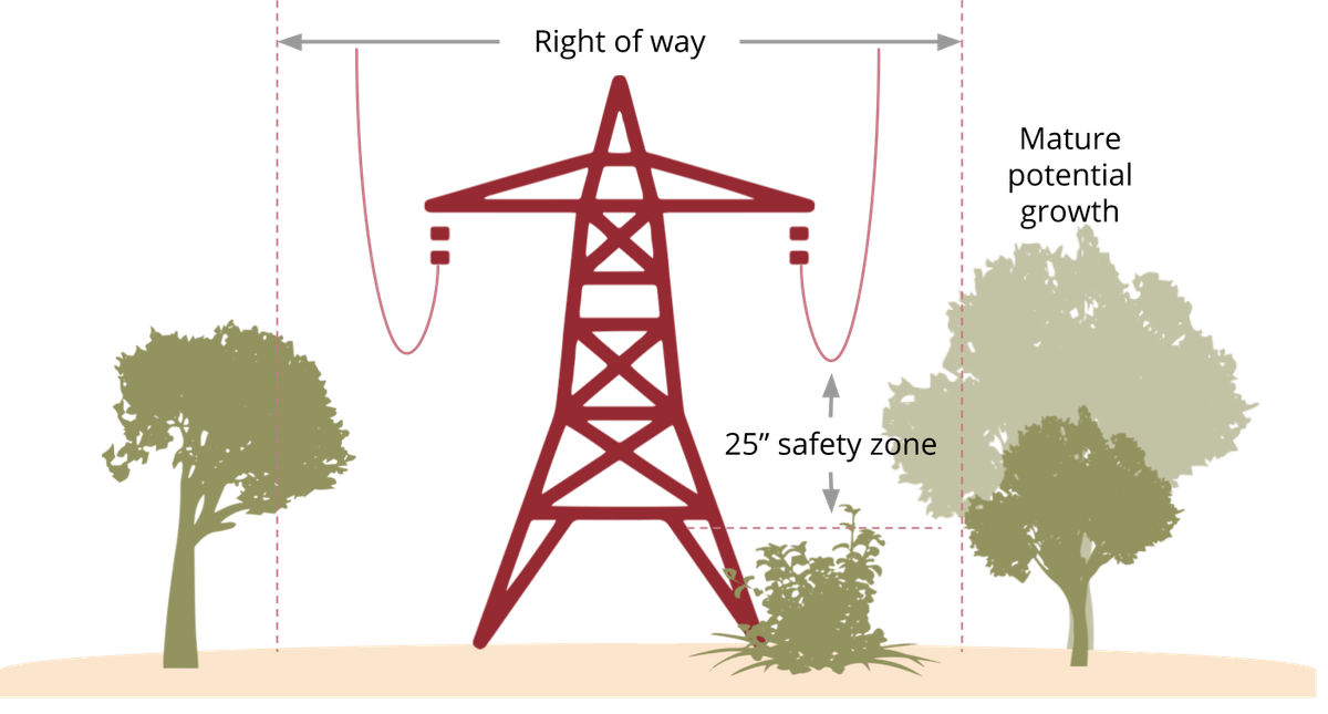 Vegetation management requires knowing the safety zone for tree growth, information gathered from innovative solutions. Vegetation management requires knowing the safety zone for tree growth, information gathered from innovative solutions.