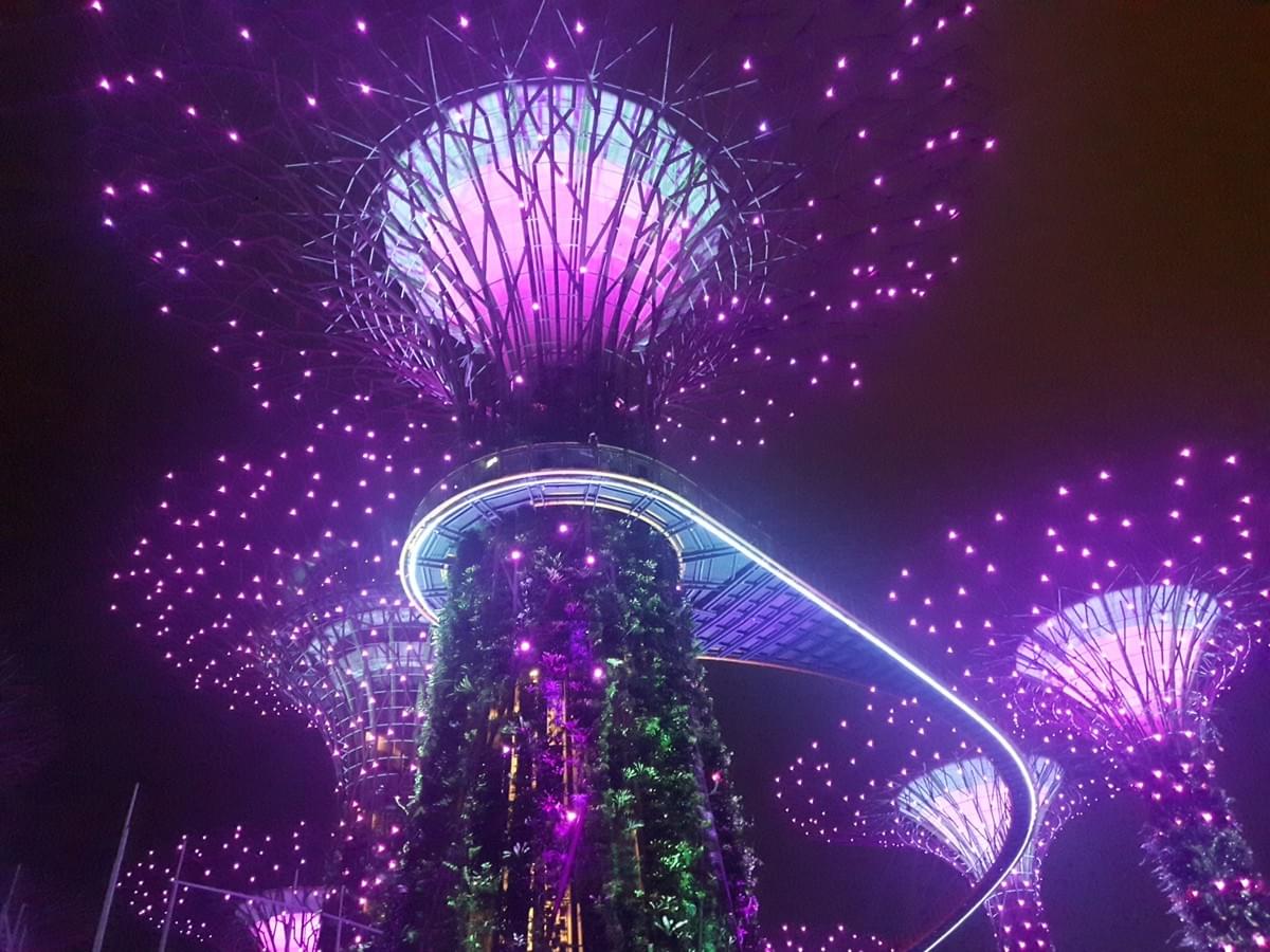 Light and Sound Show on Super Tree at Gardens By The Bay, Singapore Light and Sound Show on Super Tree at Gardens By The Bay, Singapore