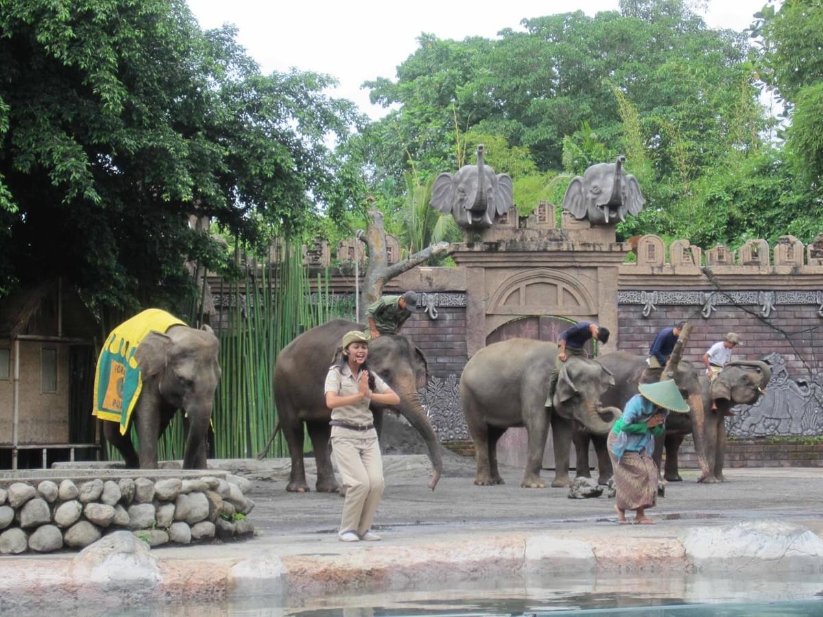 Bali Safari and Marine Park Bali Safari and Marine Park
