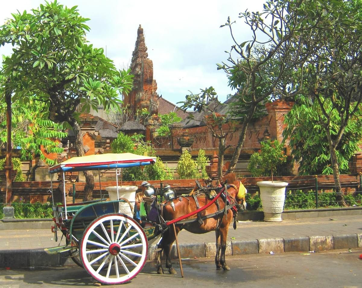 Dokar, Transportation in Bali Dokar, Transportation in Bali