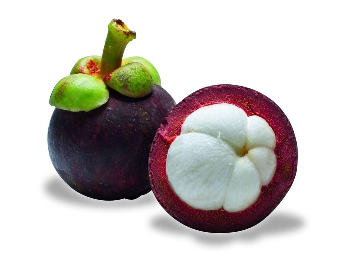 Mangosteen Mangosteen