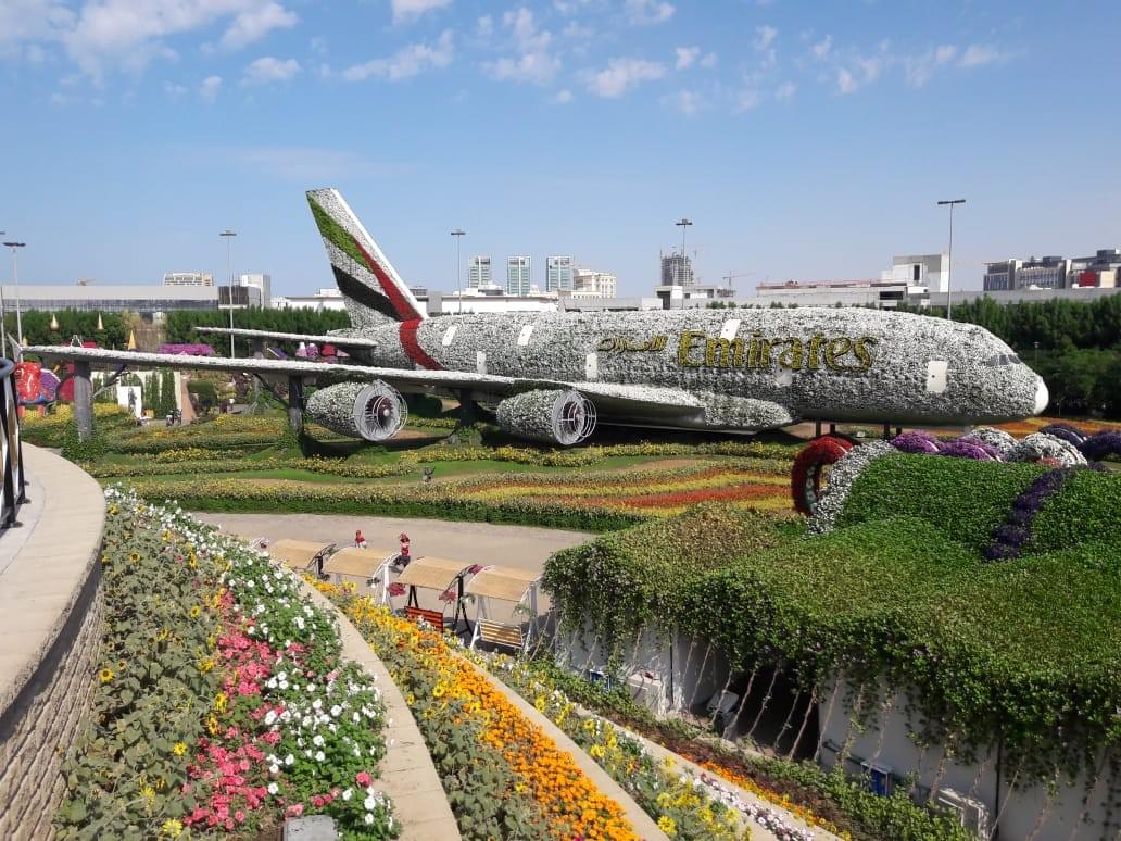 Miracle Garden - Places to Visit in Dubai Miracle Garden - Places to Visit in Dubai