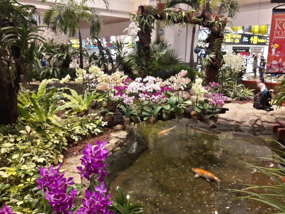Orchid Exhibits at Changi International Airport, Make Most Of Your Transit Time At CHANGI Airport. Orchid Exhibits at Changi International Airport, Make Most Of Your Transit Time At CHANGI Airport.