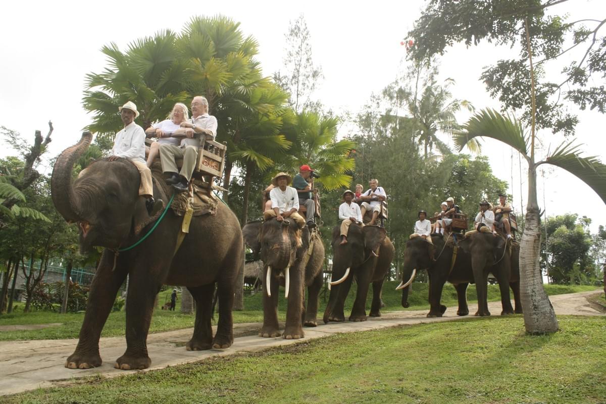 Bali Elephant Camp Bali Elephant Camp