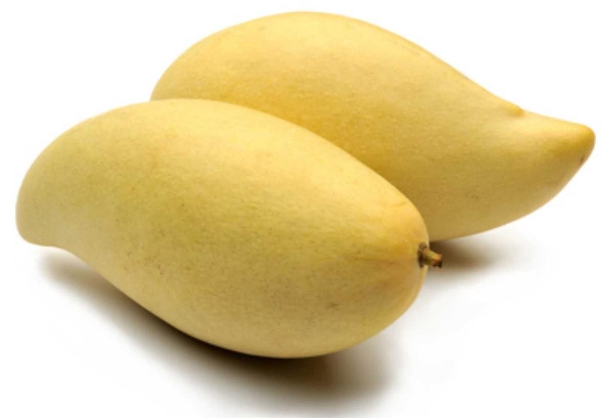 Mango Mango
