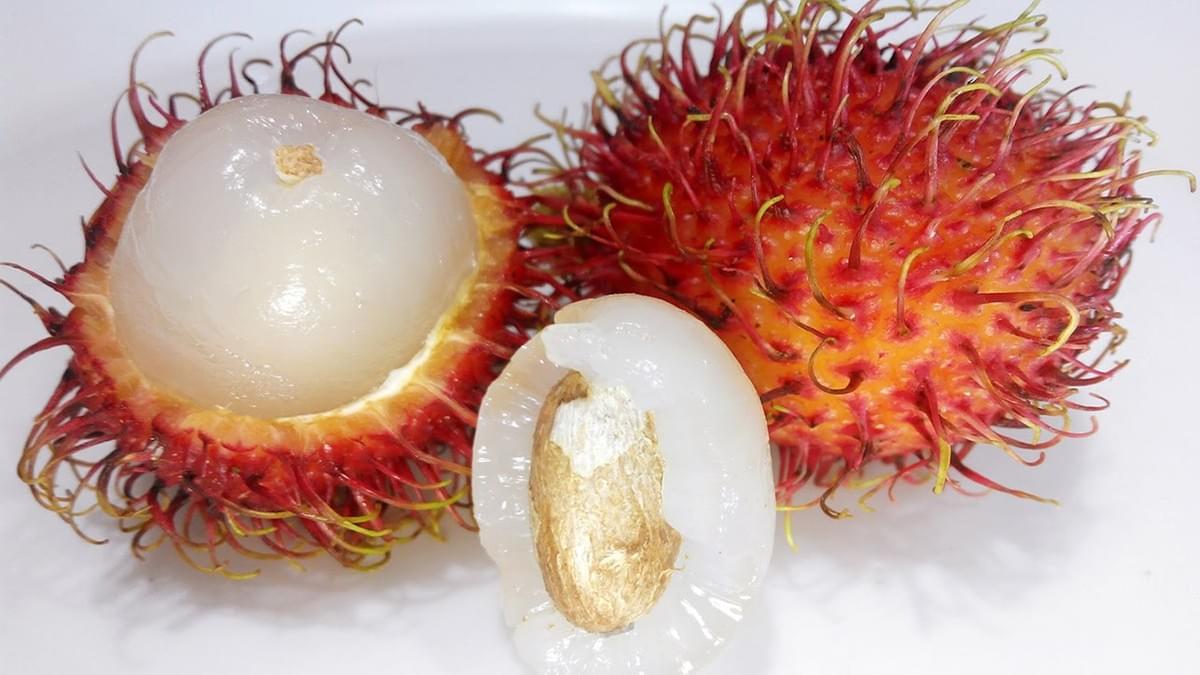 Rambutan Rambutan