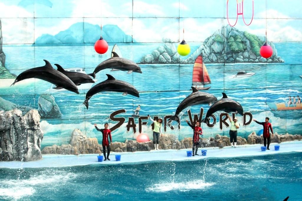 Dolphin Show at Safari World, Bangkok Dolphin Show at Safari World, Bangkok