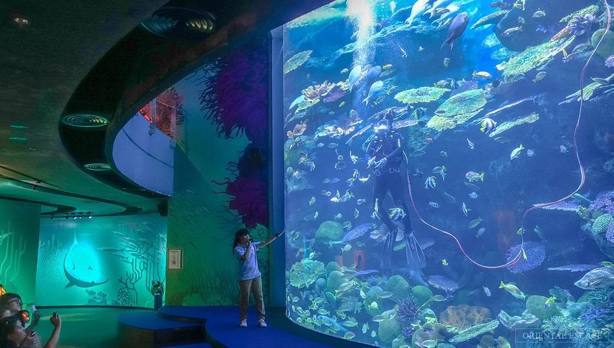 Siam Ocean World, Bangkok Siam Ocean World, Bangkok