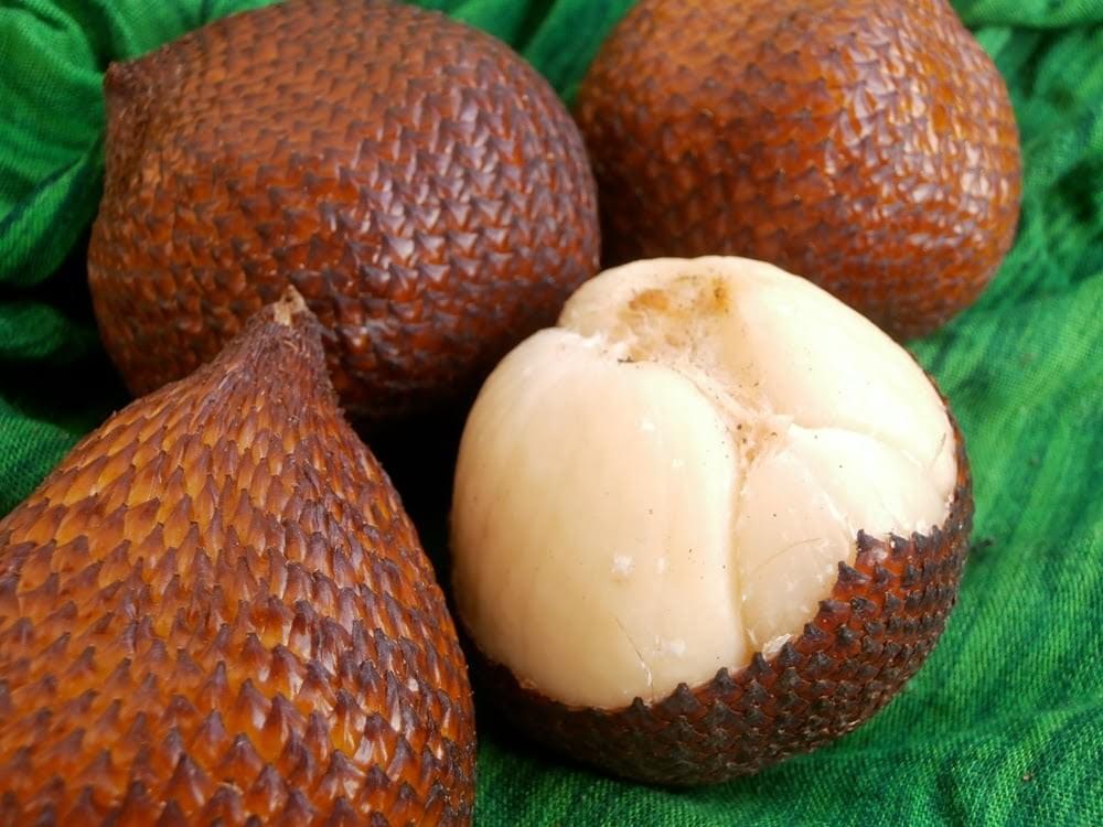 Snakefruit Snakefruit