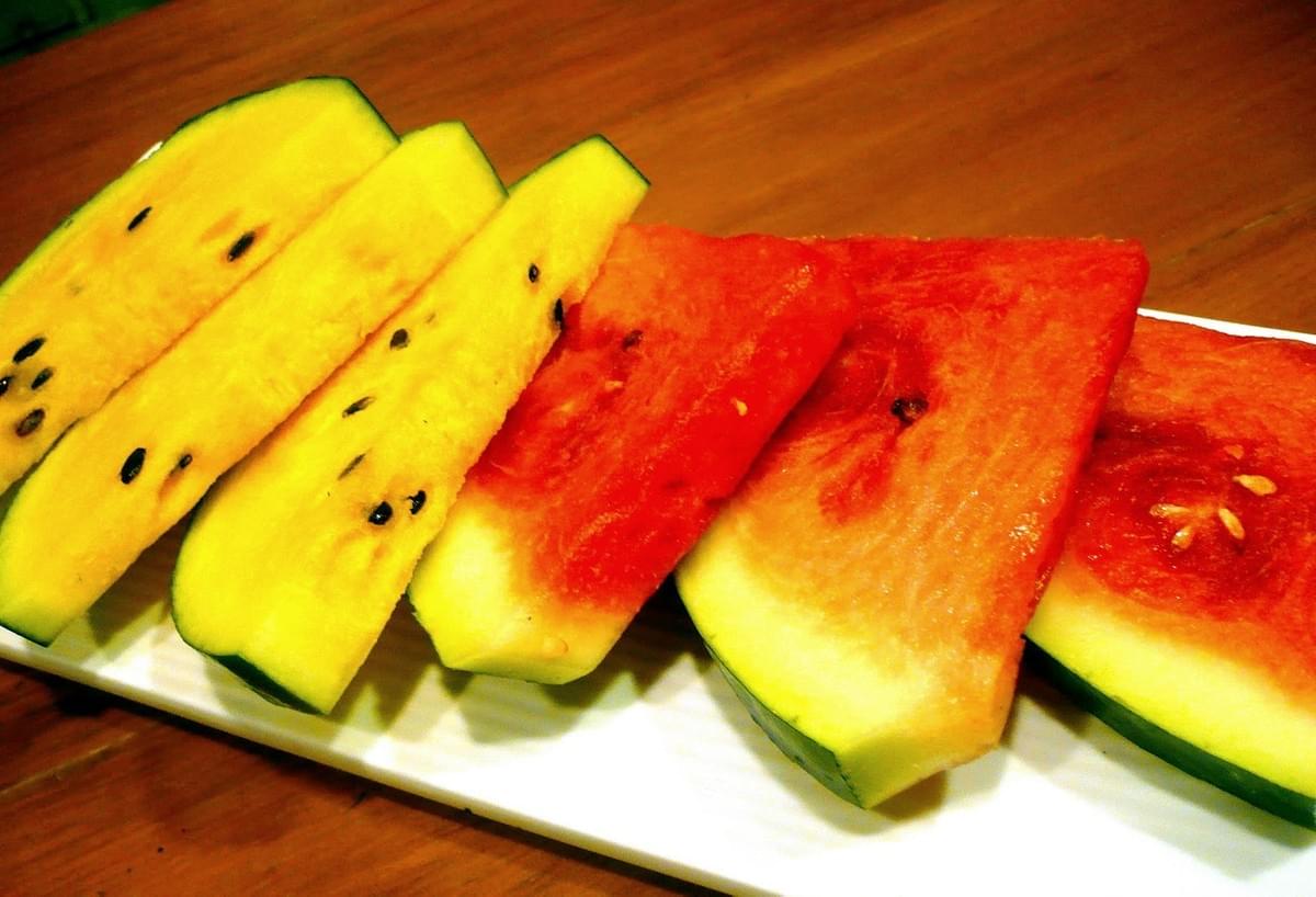 Watermelon Watermelon