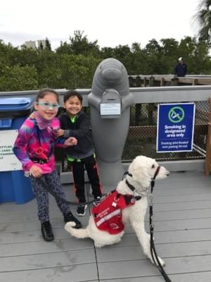 Petie, Bella and Kadence at the Manatee Conservation Area in Florida. Petie, Bella and Kadence at the Manatee Conservation Area in Florida.